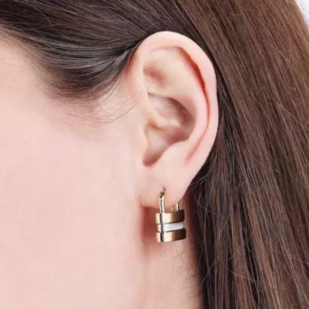 ✨✨Two Tone Padlock Earrings ✨✨ - Picture 1 of 6